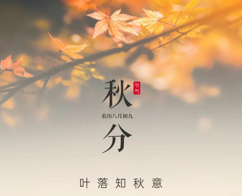 秋分(fēn)--落葉知(zhī)秋意 秋分(fēn)--落葉知(zhī)秋意